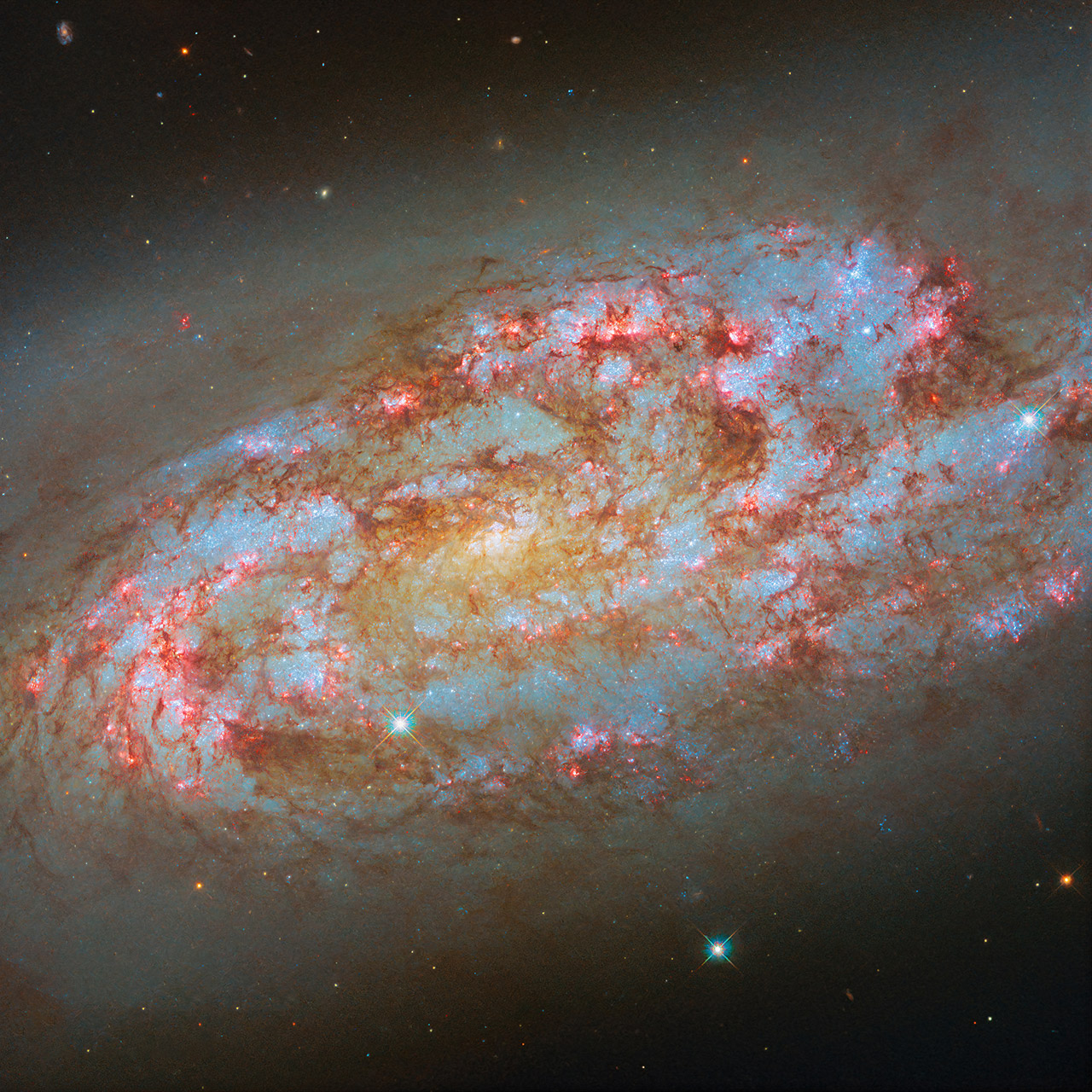 Hubble NGC 1792 Spiral Galaxy