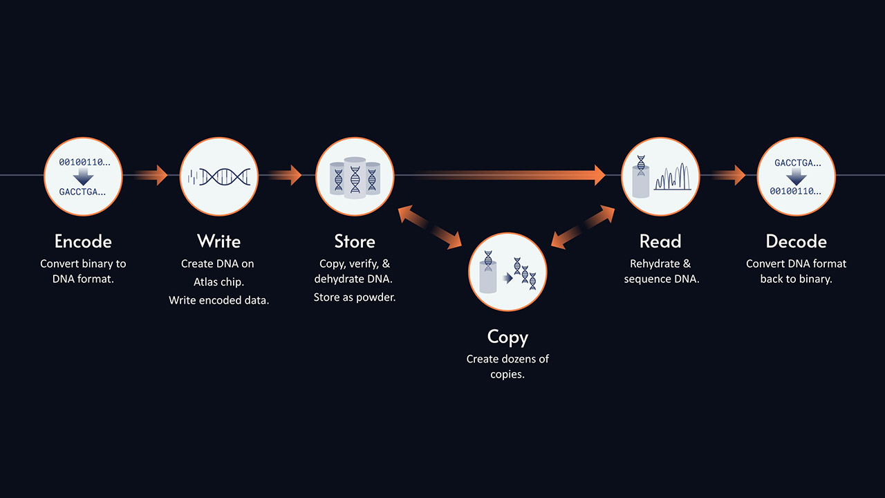 Atlas Eon 100 DNA Storage