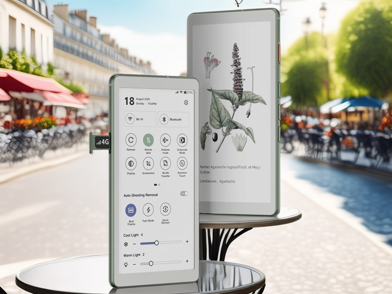 Viwoods AIPaper Reader C Smartphone E-Ink