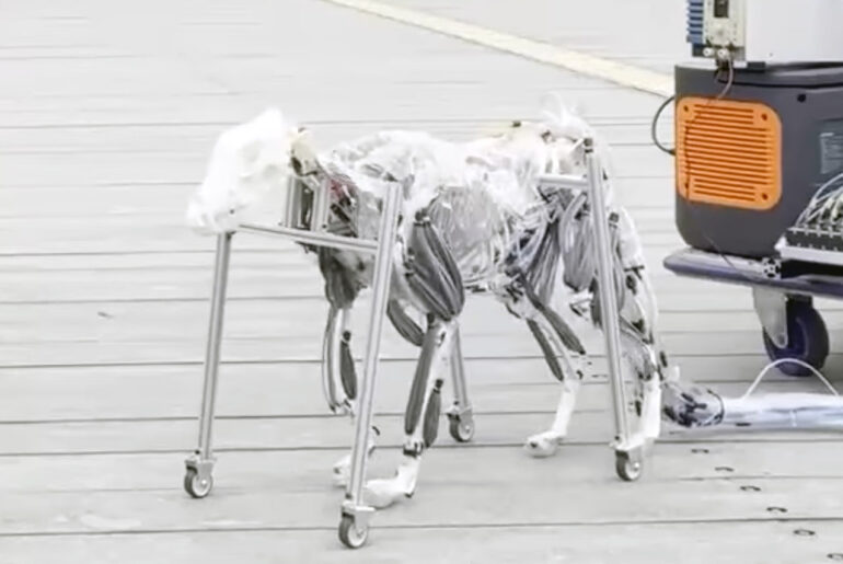 Musculoskeletal Robot Dog