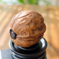 Walnut Shell Spy Camera