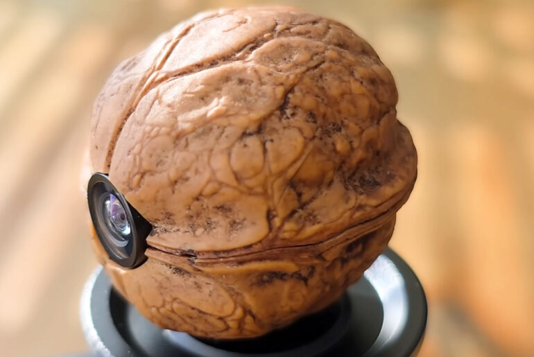 Walnut Shell Spy Camera