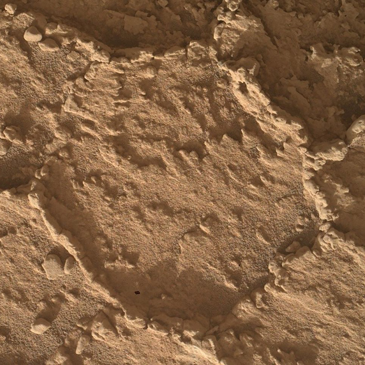 NASA Curiosity Mars Rover Polygons Hollow