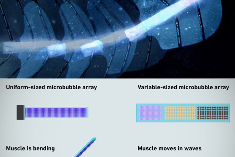 Sound-Powered Artificial Muscles