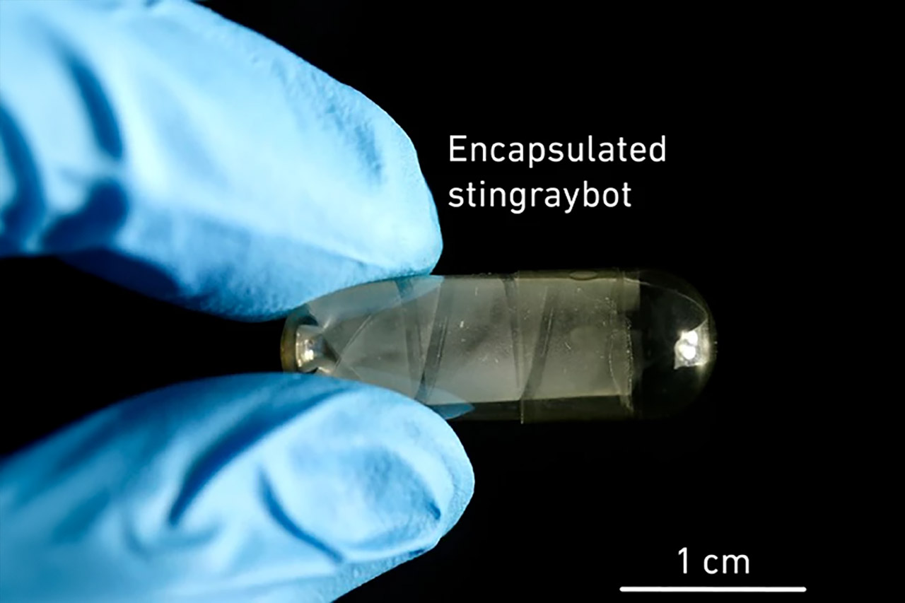 Sound-Powered Artificial Muscles