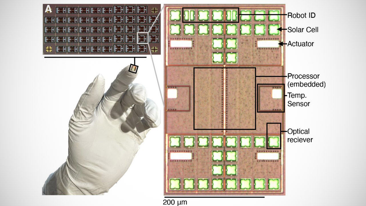 Smallest Programmable Autonomous Robots
