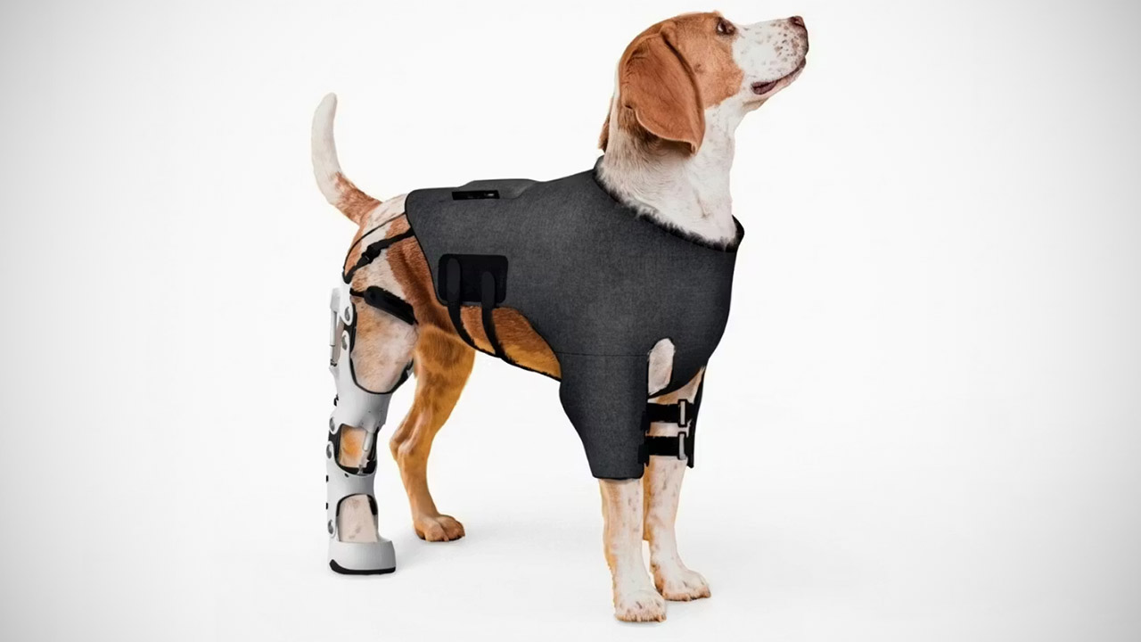Pet Exoskeleton Dogs Cybernetic