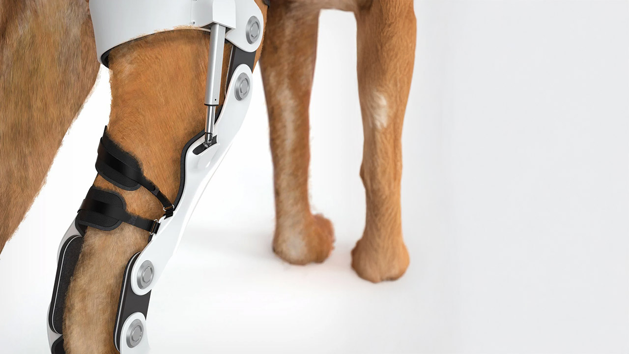 Pet Exoskeleton Dogs Cybernetic