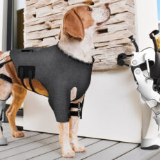 Pet Exoskeleton Dogs Cybernetic