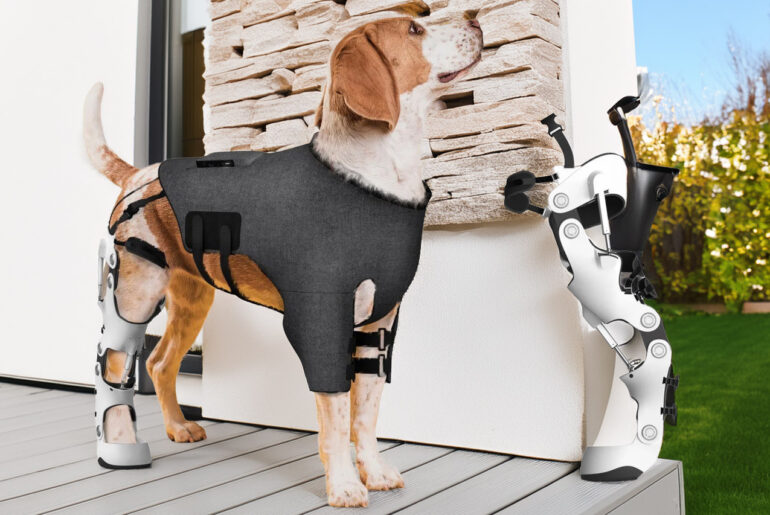Pet Exoskeleton Dogs Cybernetic
