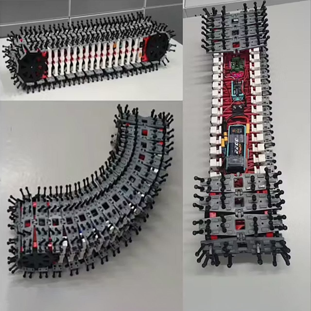 Porcospino Flex Caterpillar Robot