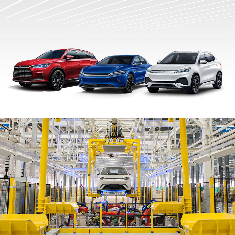 BYD EV Crown Top Seller Tesla