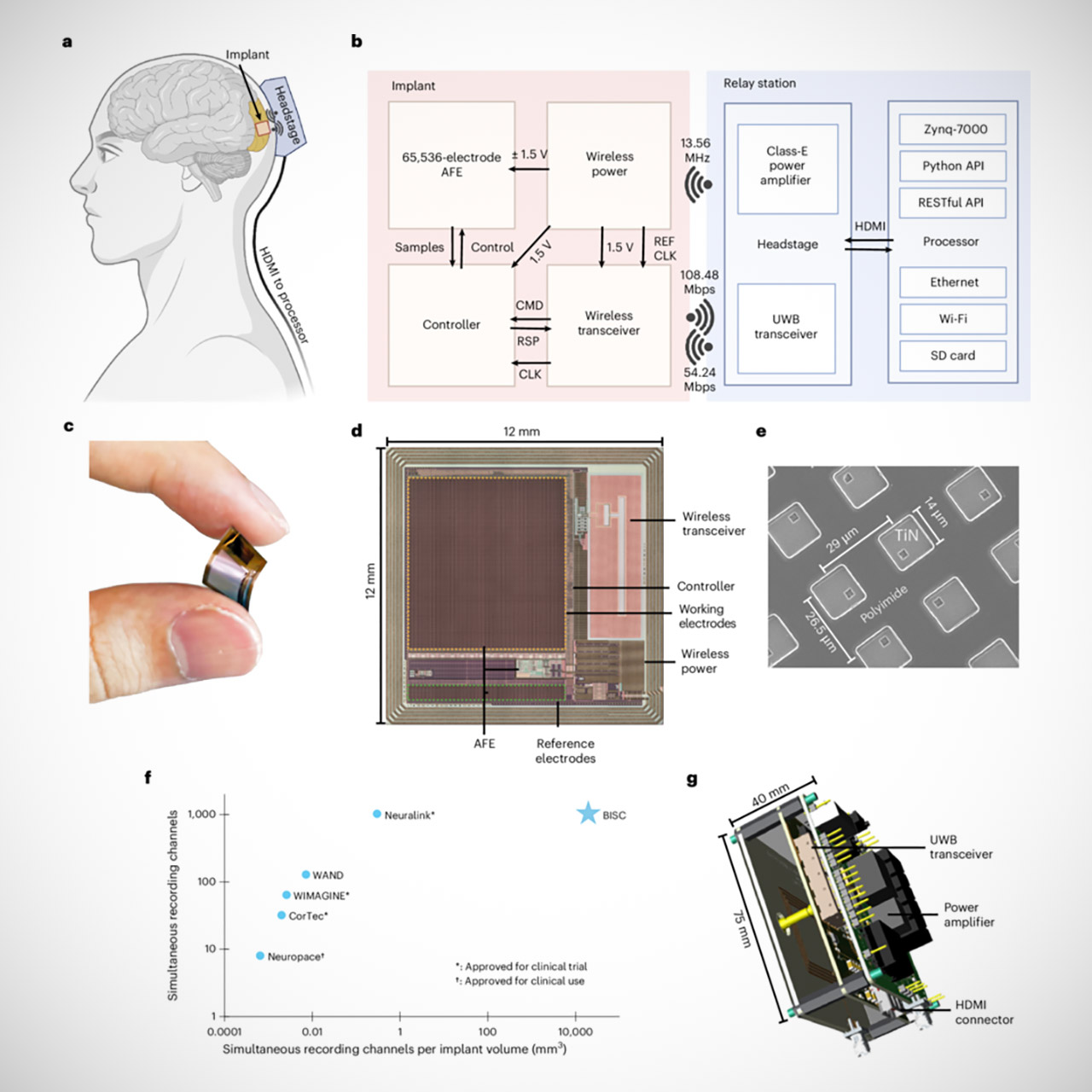 Postage Stamp Brain-computer Interface AI