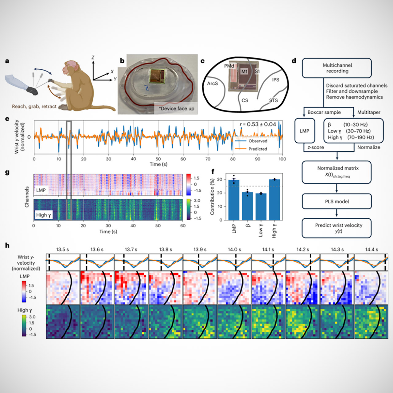 Postage Stamp Brain-computer Interface AI