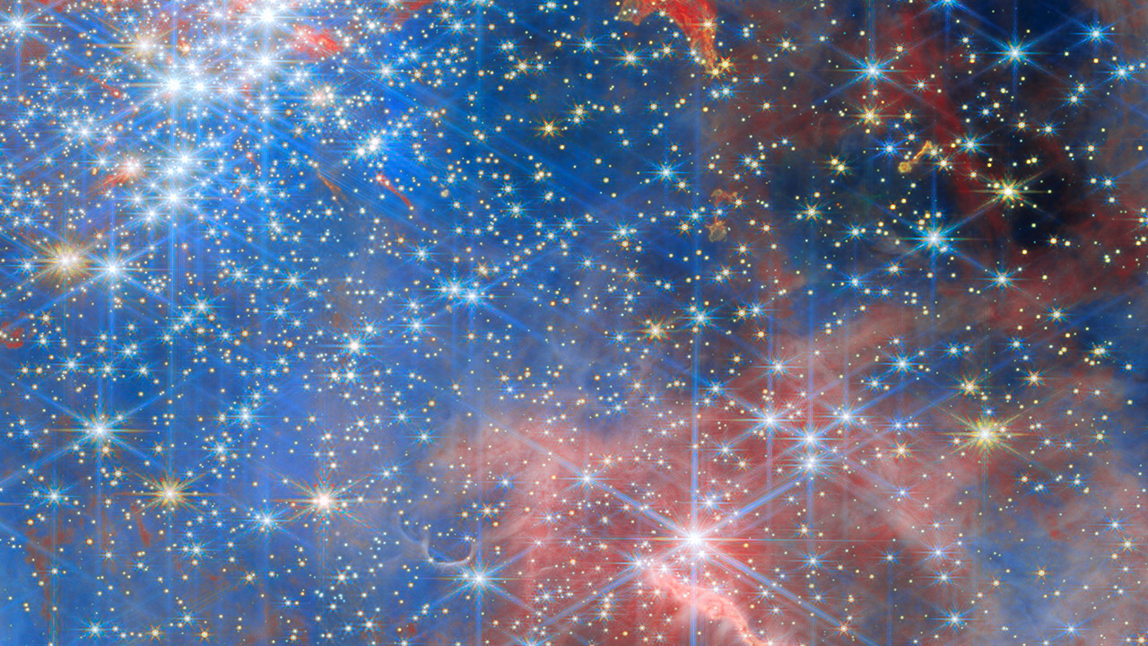 Webb Dwarf Stars Westerlund 2