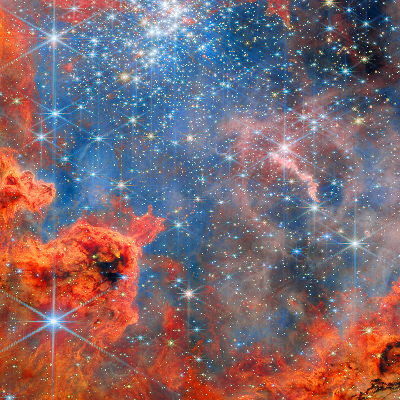 Webb Dwarf Stars Westerlund 2