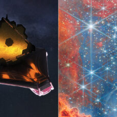 Webb Dwarf Stars Westerlund 2