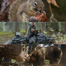 Photographer Filmmaker Jake Davis Cameras Squirrel Food Bears