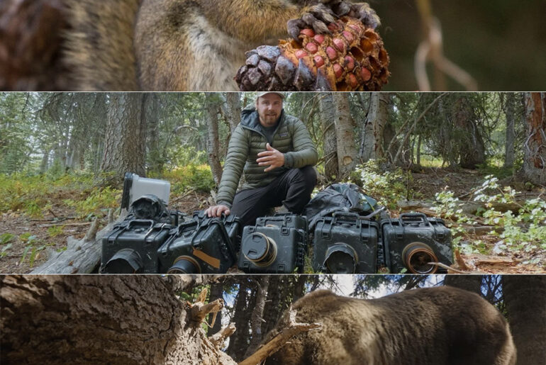 Photographer Filmmaker Jake Davis Cameras Squirrel Food Bears