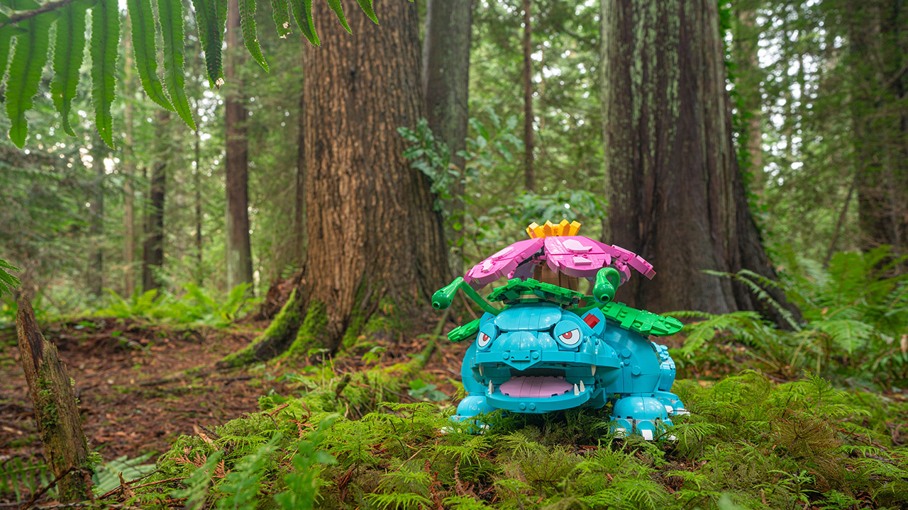 New LEGO Pokemon Sets 2026