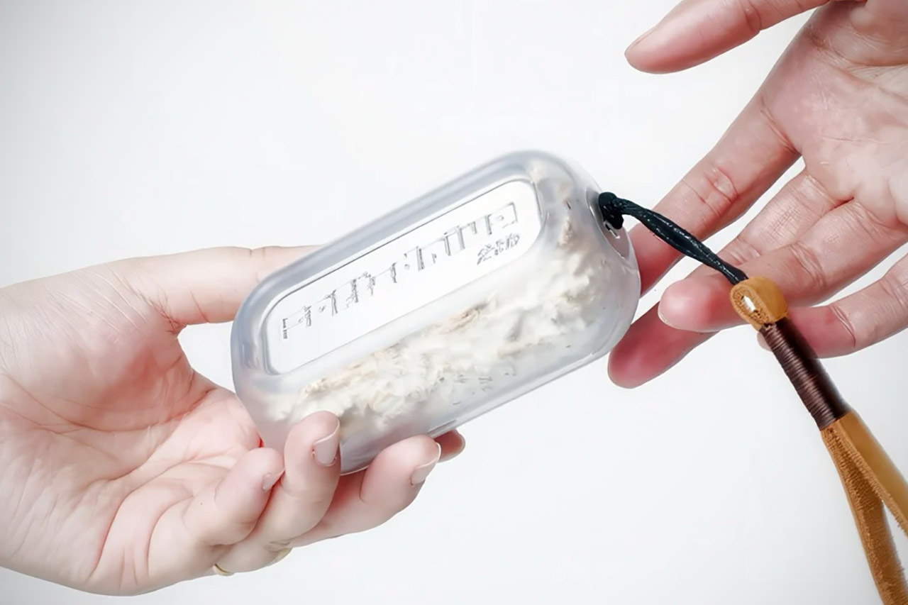 Soft Drive Portable Hard Drive Mycelium Fungus Mushroom