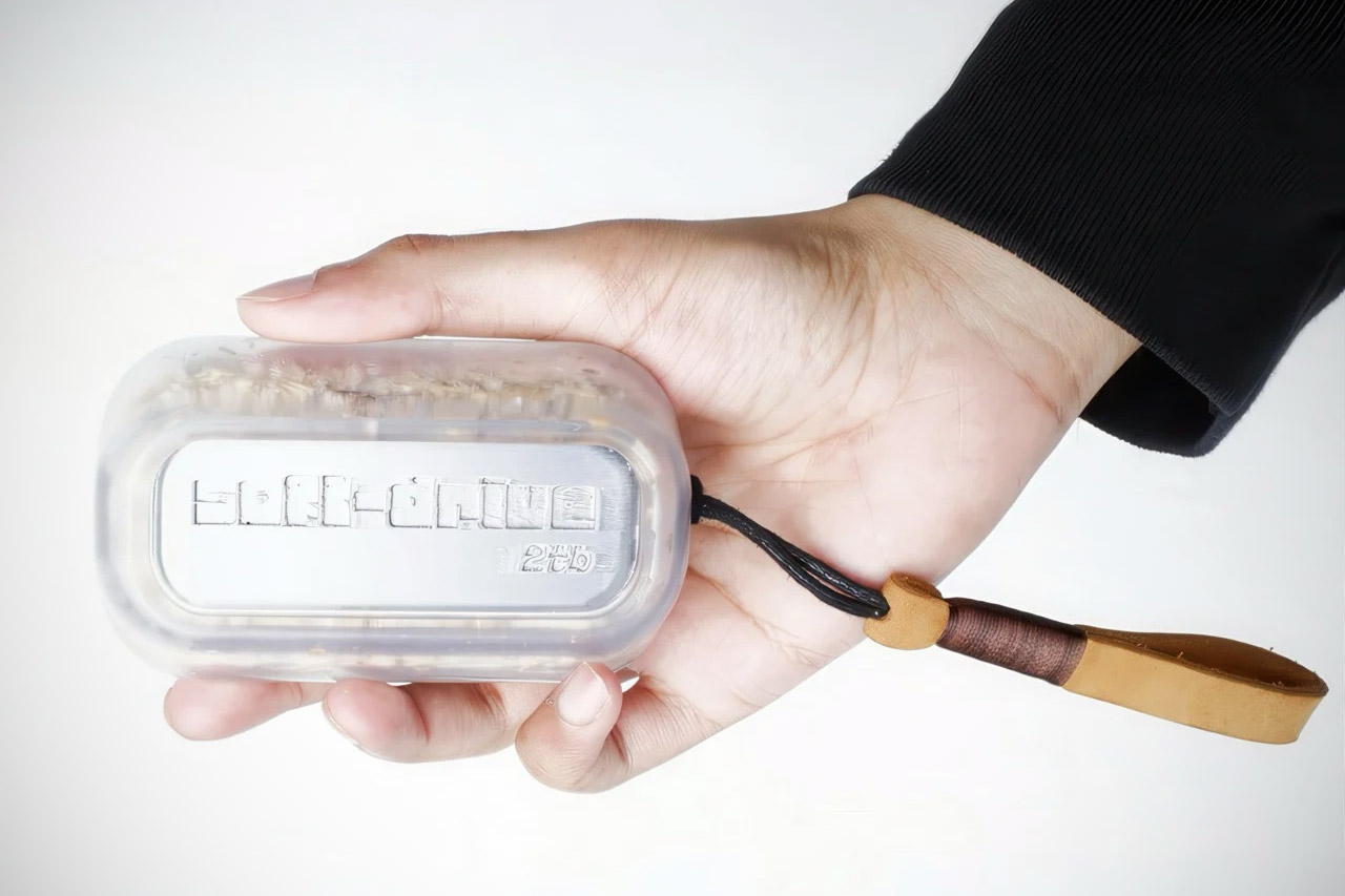 Soft Drive Portable Hard Drive Mycelium Fungus Mushroom