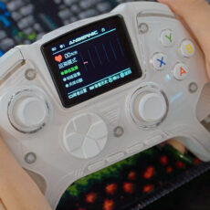 Anbernic RG G01 Controller