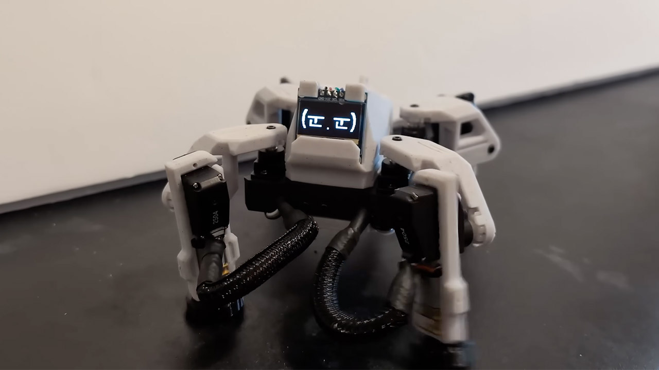 Homemade DIY Walking Robot Sesame