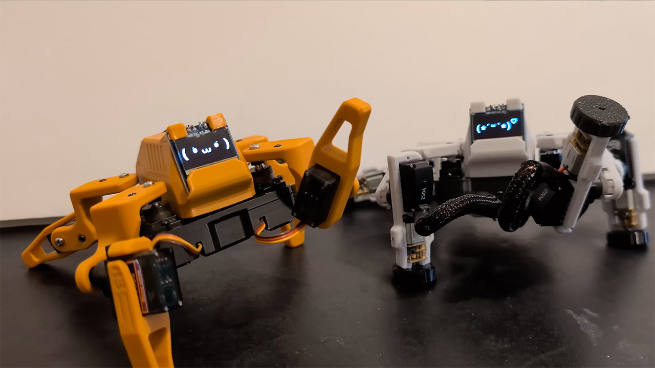 Homemade DIY Walking Robot Sesame