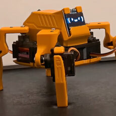 Homemade DIY Walking Robot Sesame