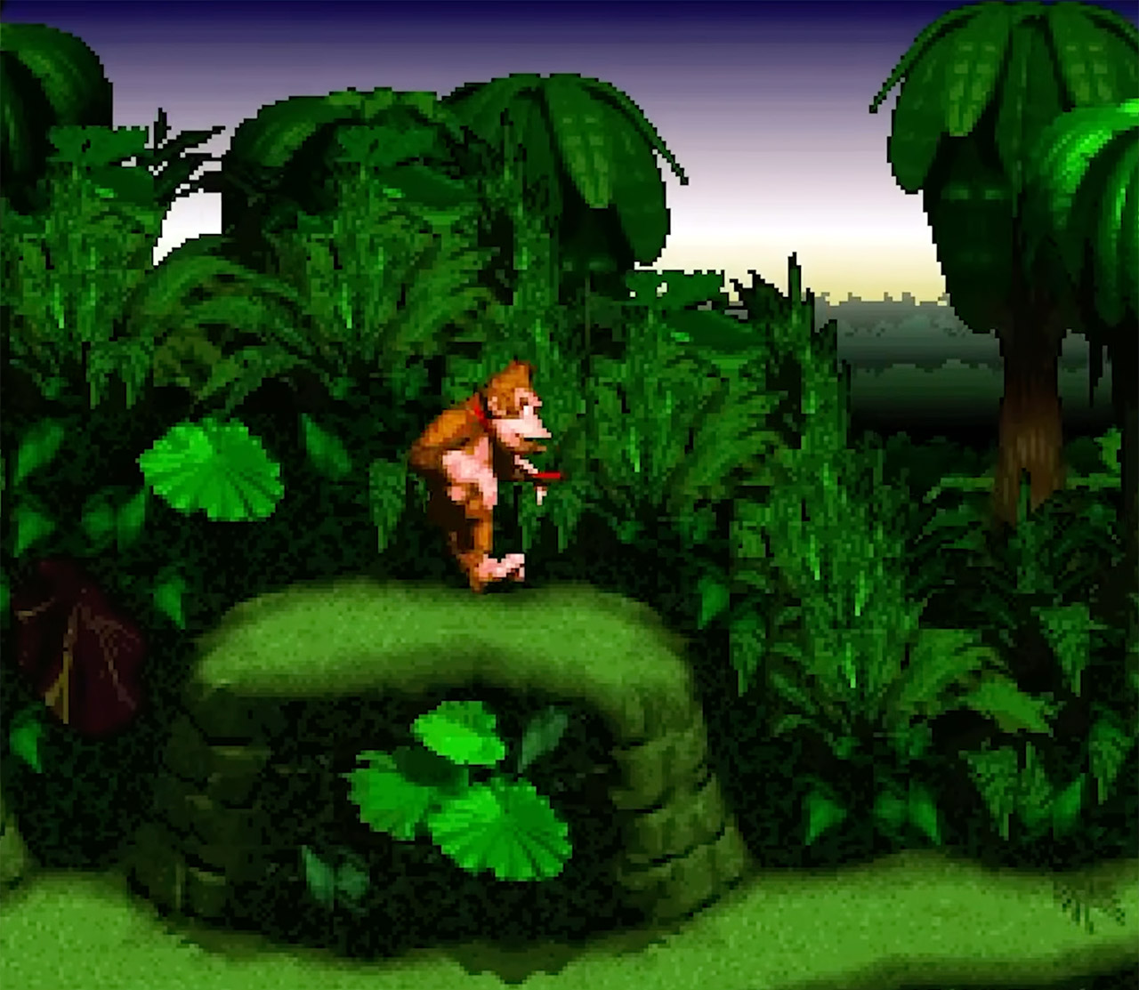 Donkey Kong Country Unity Remake