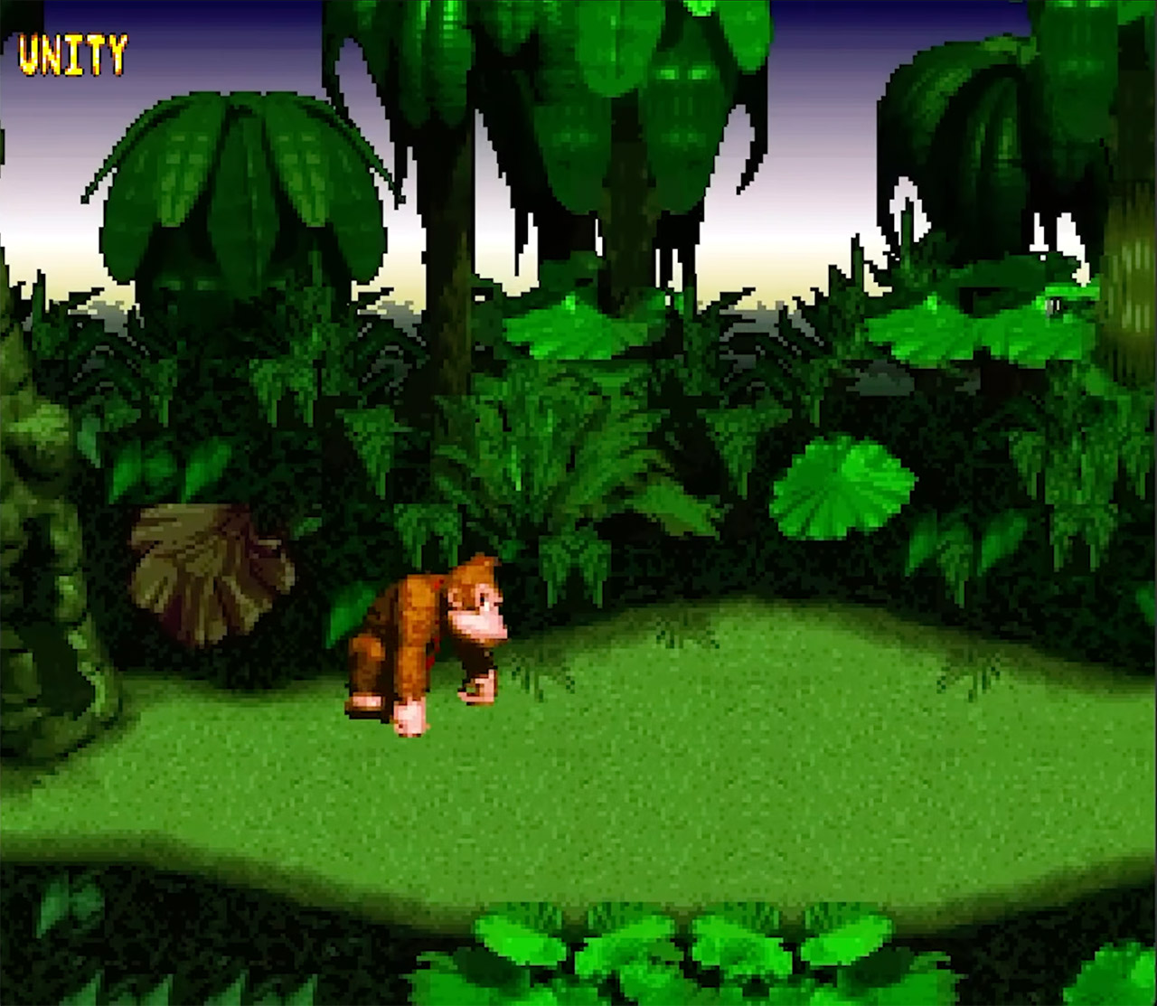 Donkey Kong Country Unity Remake