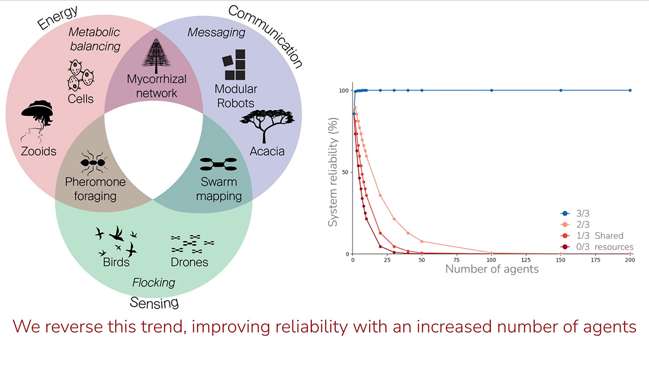 Mori 3 Robot Modular