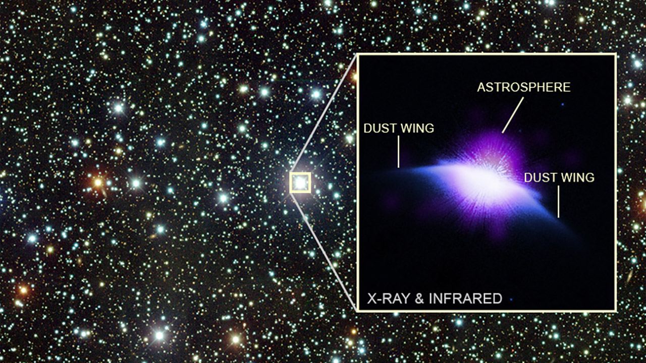 NASA Chandra Young Star Sun Bubble HD 61005