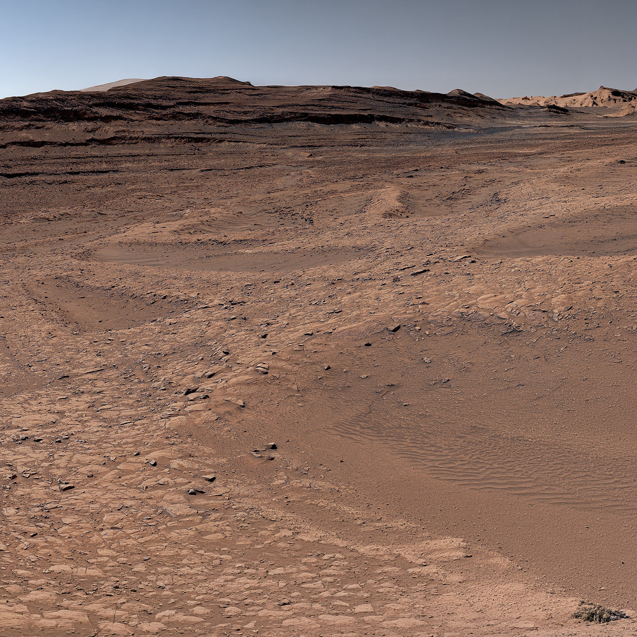 NASA Curiosity Rover Mars Spiderweb Boxwork