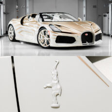 Bugatti W16 Mistral La Perle Rare Reveal