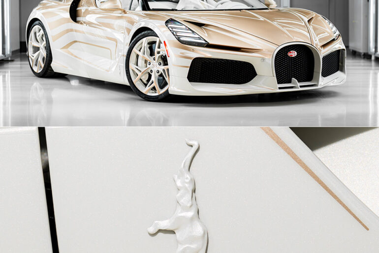 Bugatti W16 Mistral La Perle Rare Reveal