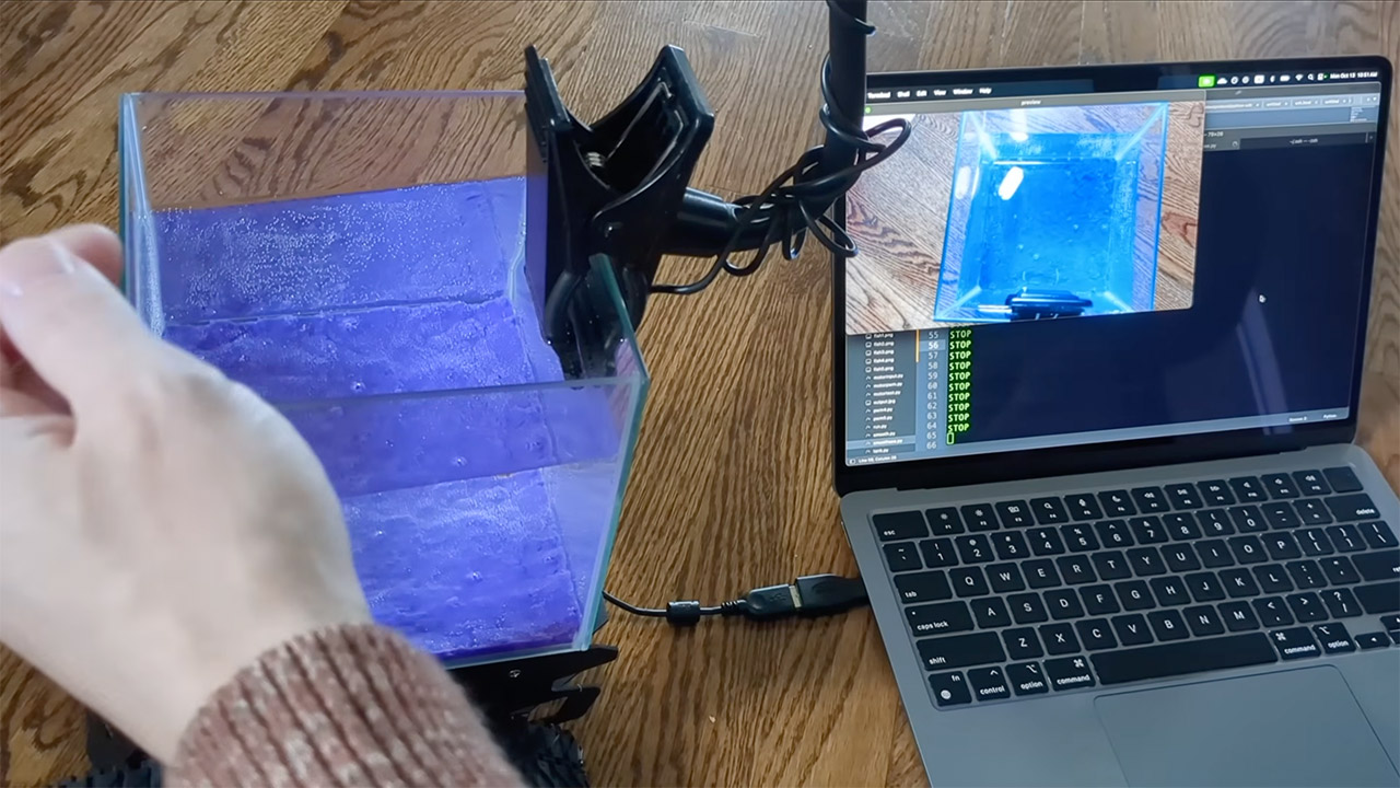 Fish Learns to Drive Robotic Tank