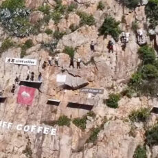 Gushi Cliff Coffee Fujian China