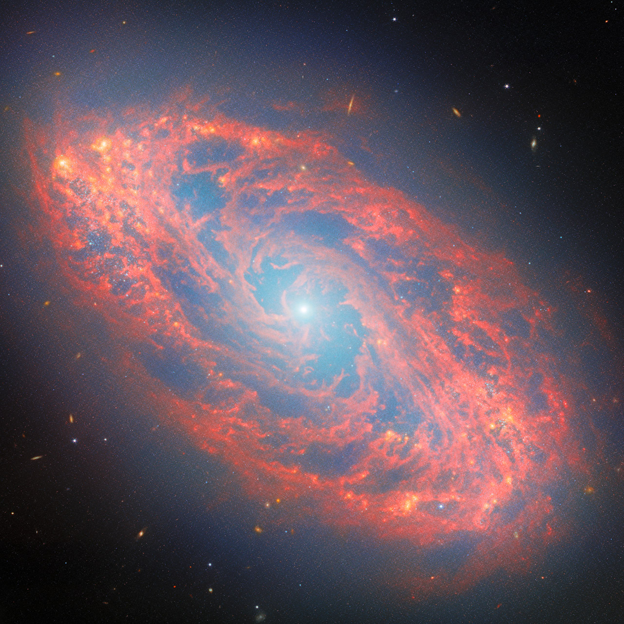 James Webb Space Telescope NGC 5134