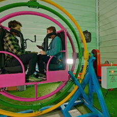 Temu Theme Park Ride Attraction