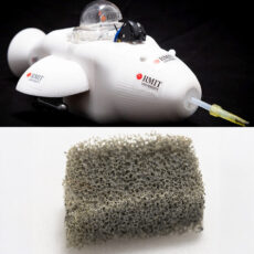 Bio Dolphin Robot RMIT Oil Spills