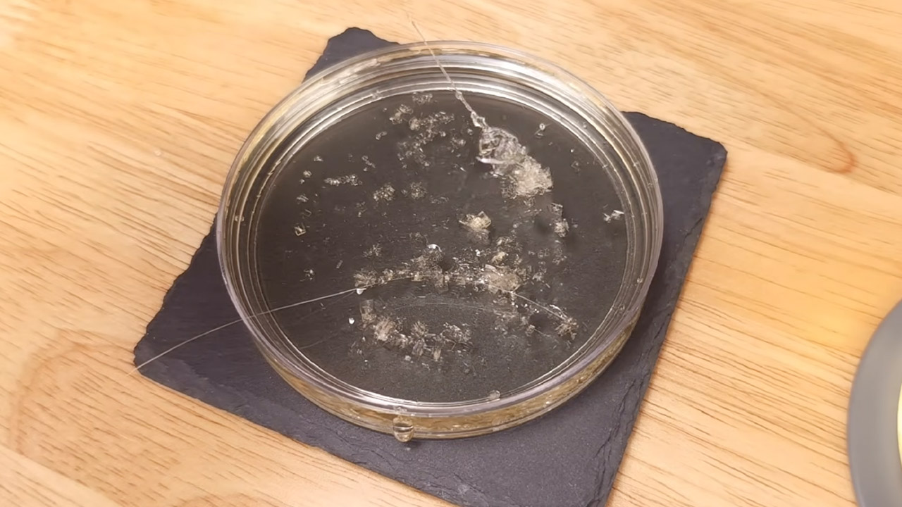 Growing Giant Sugar Crystal Experiment