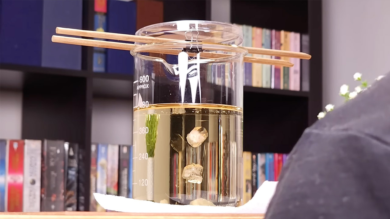 Growing Giant Sugar Crystal Experiment