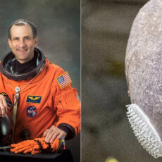 NASA Astronaut Don Pettit Spudnik-1 Alien Purple Potato Space