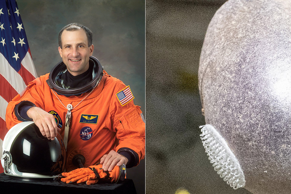 NASA Astronaut Don Pettit Spudnik-1 Alien Purple Potato Space