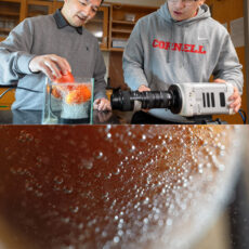 Cornell University Bubble Sound Waves Clean Produce