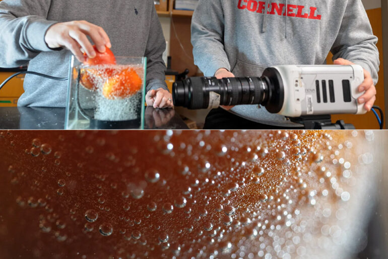 Cornell University Bubble Sound Waves Clean Produce