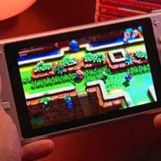 Nintendo Switch Lite Pro Mod