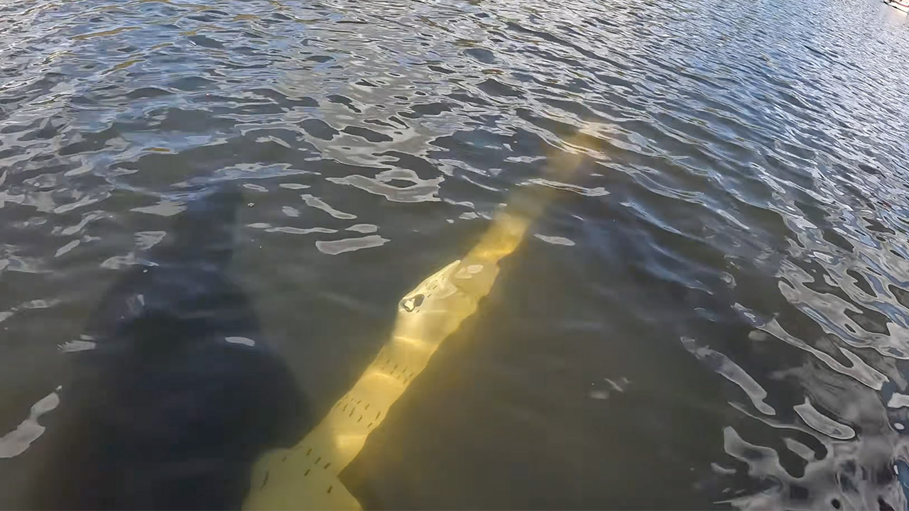 3D-Printed Submarine ProjectAir